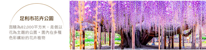 足利市花卉公園